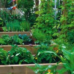Zahradní skleník a různé druhy zeleniny