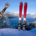 Lyžování Rakousko – kam vyrazit s dětmi a kde si to užijí především aktivní lyžaři